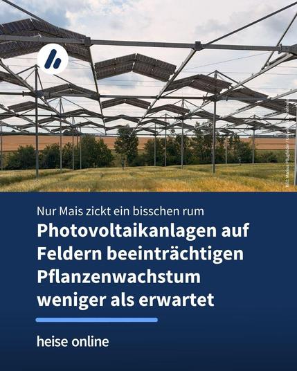 Das Bild zeigt eine Agri-PV-Anlage auf einem Feld. Im Bild steht: "Photovoltaikanlagen auf Feldern beeinträchtigen Pflanzenwachstum weniger als erwartet"