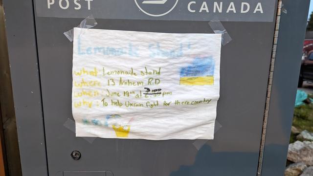 Sign, wet from rain, handwritten by a child, announcing a "lemonaide stand" "To help Ukraine fight for there country"
