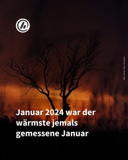 Bild: Im Hintergrund laubloser Baum und untergehende Sonne.

Überschrift: Januar 2024 war der wärmste jemals gemessene Januar.
