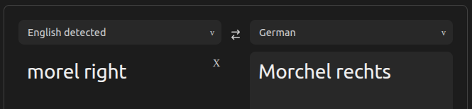 Übersetzungsinterface. Links steht "morel right", rechts "Morchel rechts"